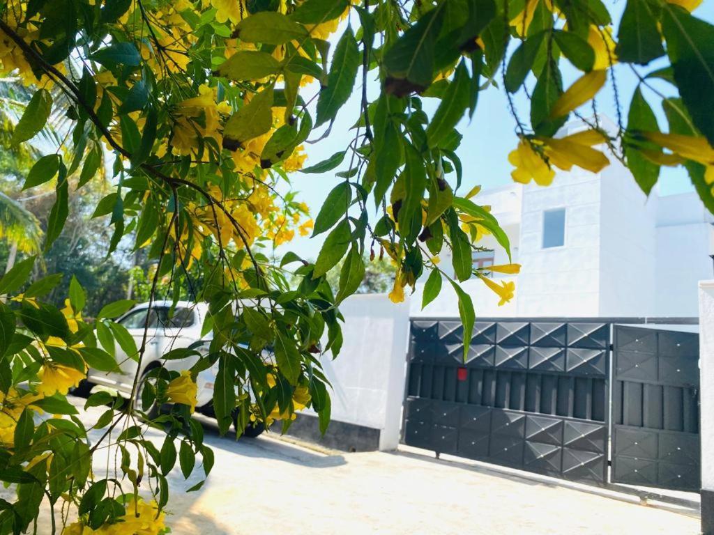 Twinstop Villa Minuwangoda المظهر الخارجي الصورة