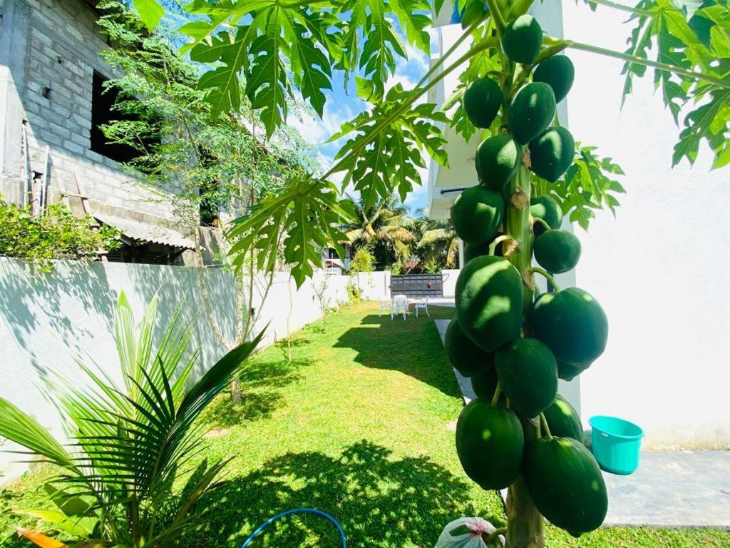 Twinstop Villa Minuwangoda المظهر الخارجي الصورة